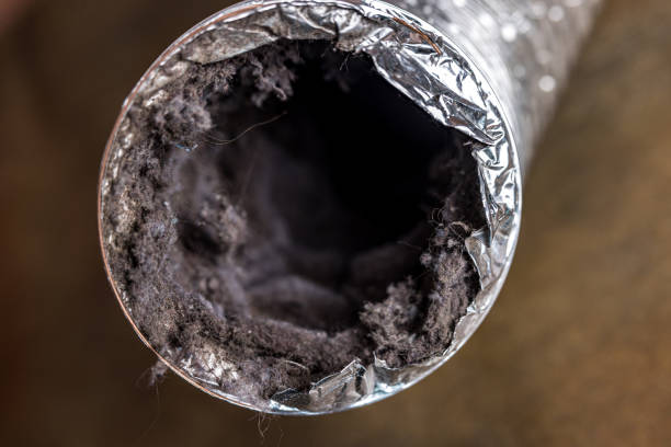 Best Residential Air Duct Cleaning  in West Brownsville, PA